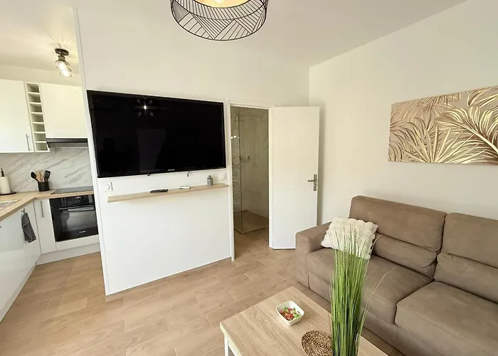 06cp - Beautiful T2 Super Equipped With Terrace アパート ヴィルヌーヴ・ルベ